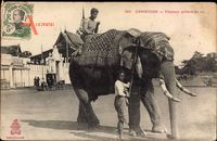 Kambodscha, Elephant prefere du roi, Elefant mit Reiter, Mahut