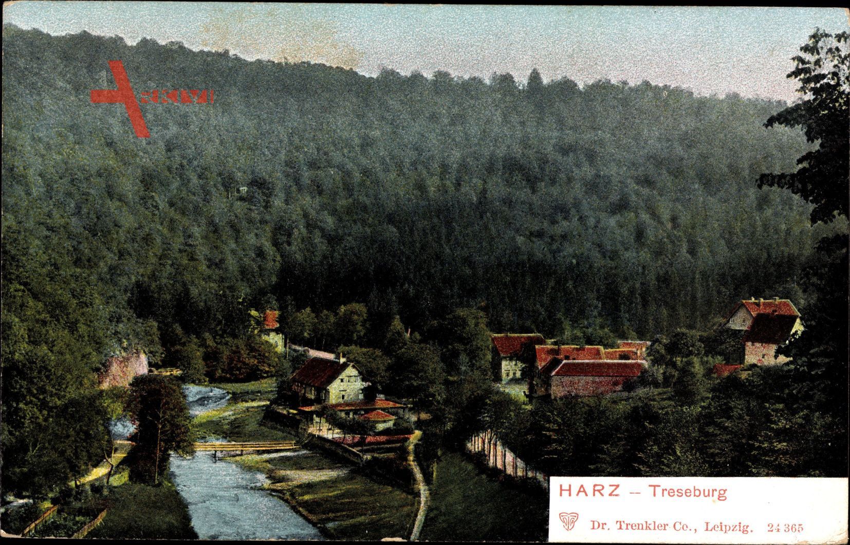 Treseburg Thale im Harz, Blick auf den Ort, Wald, Fluss, Brücke, Häuser