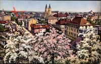 Landau in der Pfalz, Frühling, Blüte, Stadtpanorama, Glockentürme