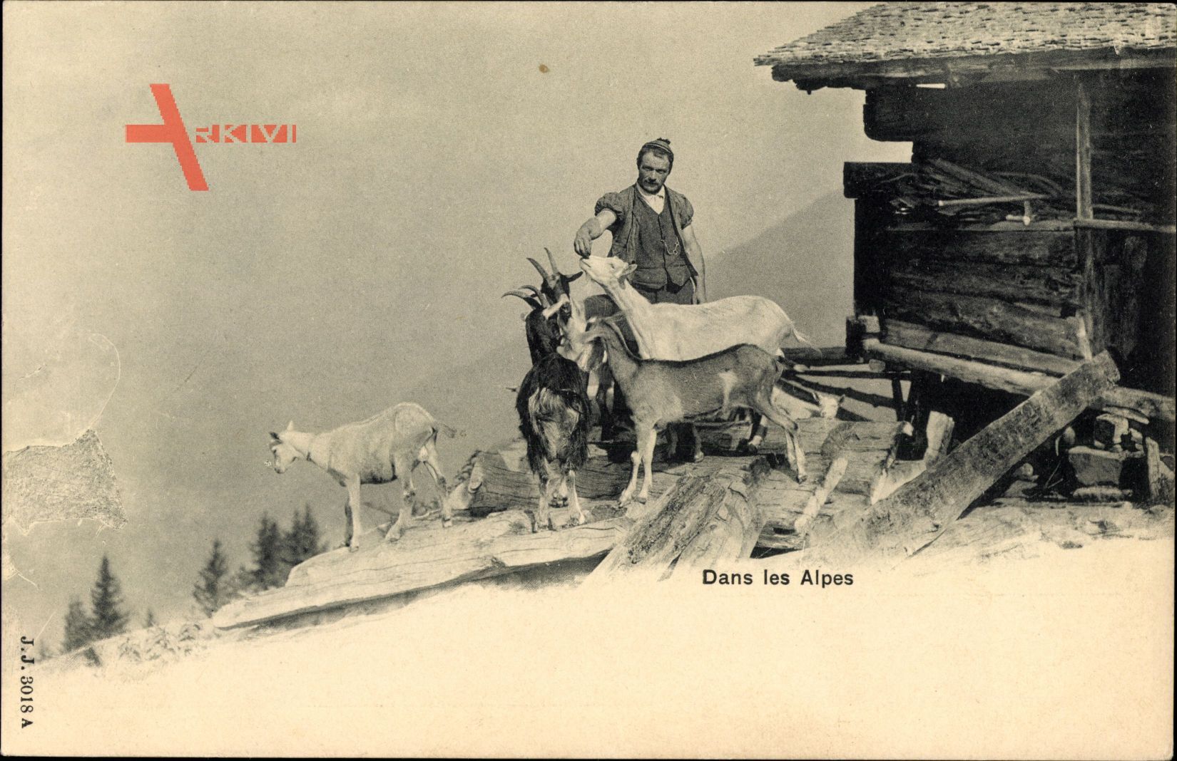 Dans les Alpes, Schweizer Senn mit seinen Ziegen, Sennhütte