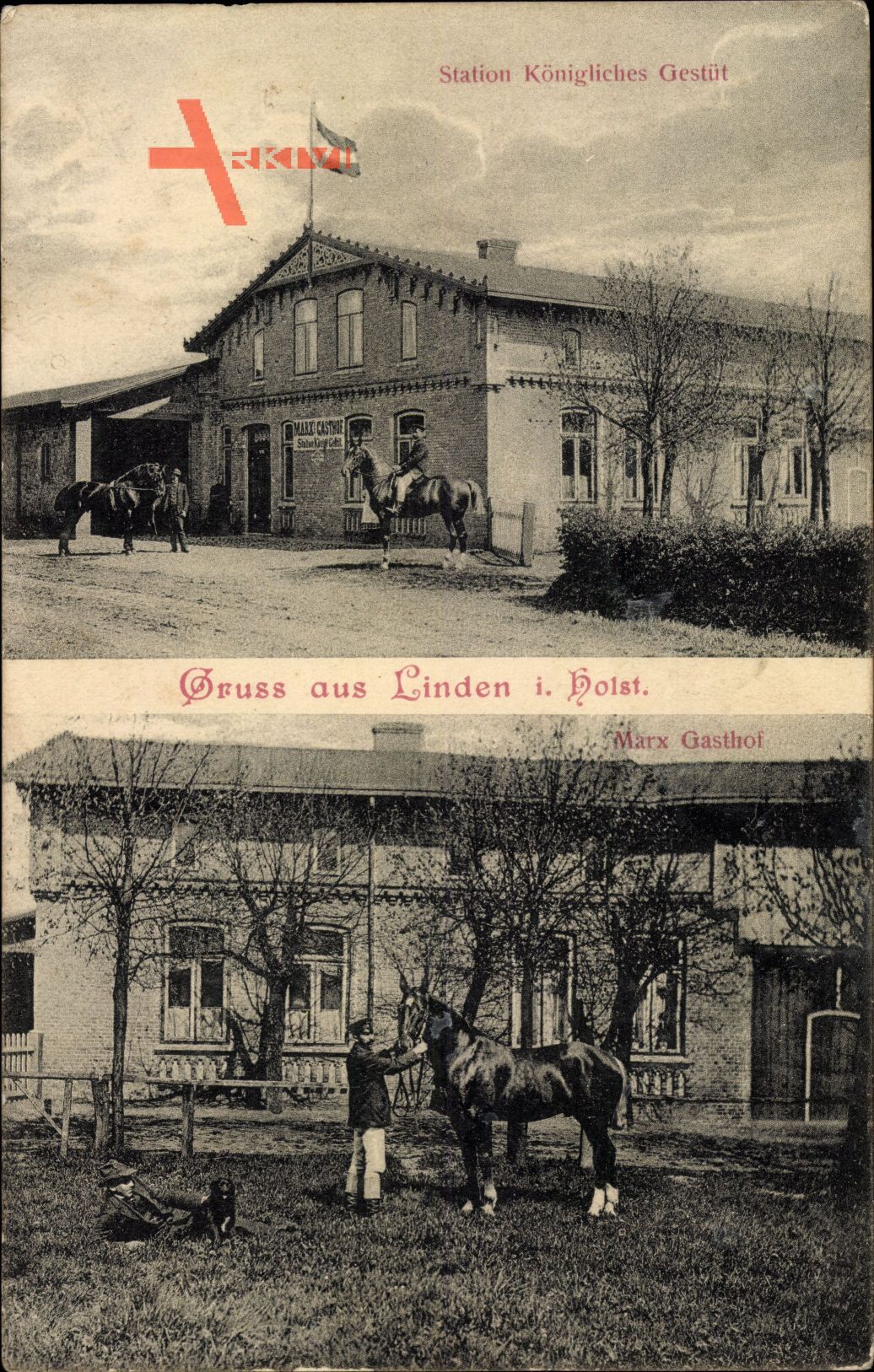 Linden Kr. Dithmarschen, Station Königliches Gestüt, Pferde