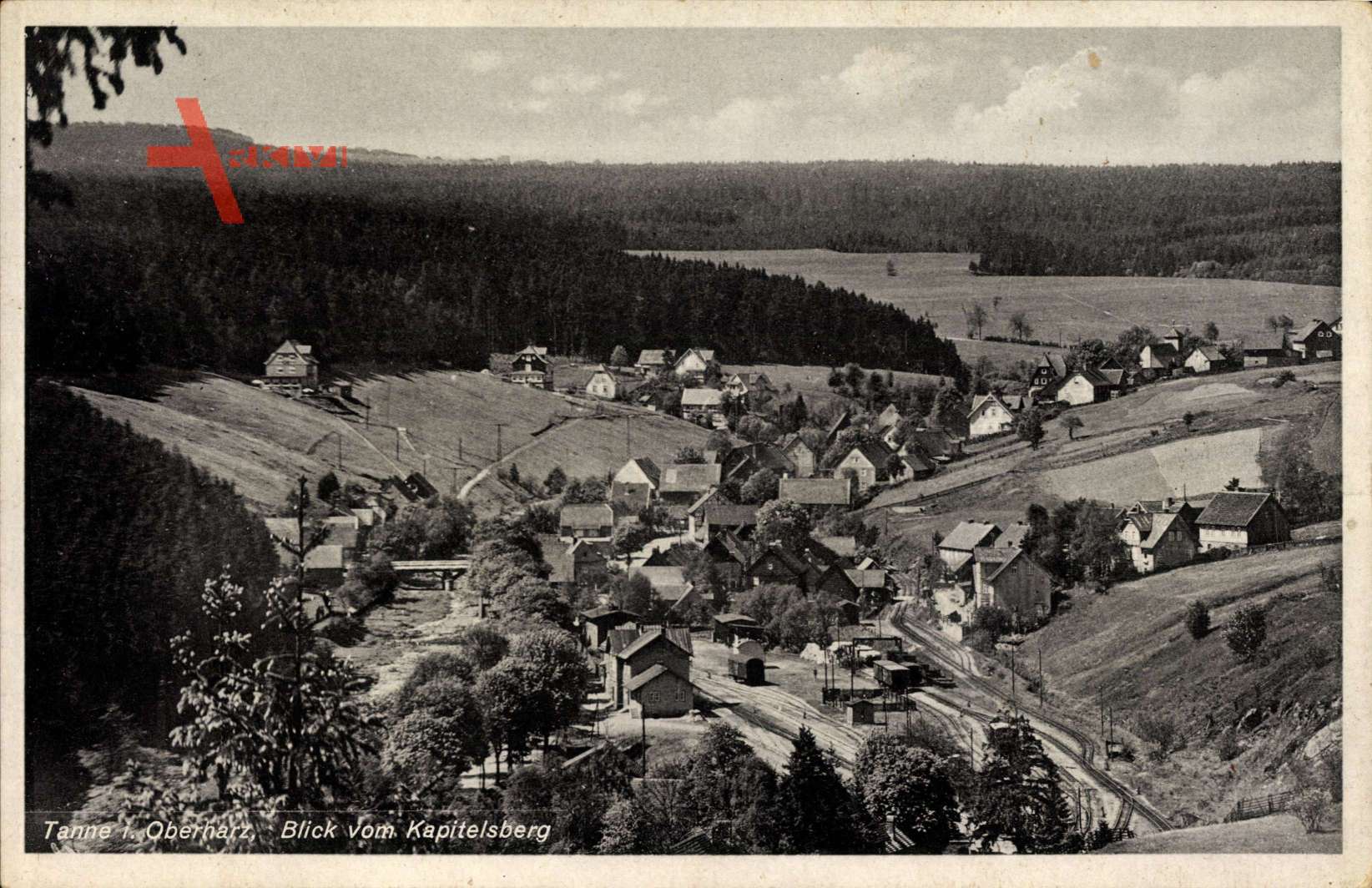 Tanne Oberharz am Brocken, Blick vom Kapitelsberg auf den Ort