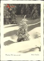 Frohe Weihnachten, Baur Karte W 524, Max Baur Verlag, Tanne, Schnee