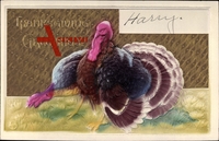 Plastische Truthahn und Pute Darstellung für Thanksgiving