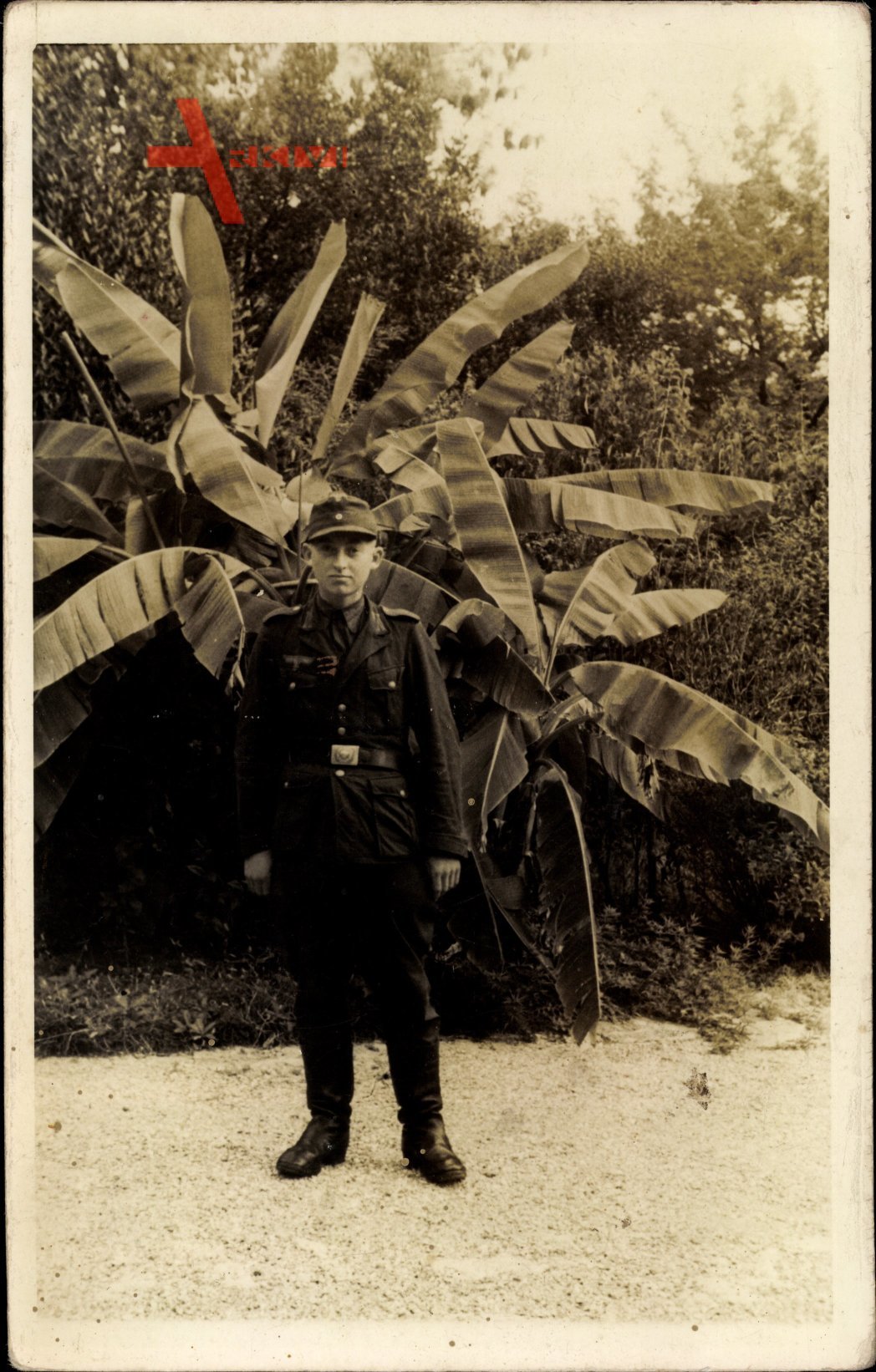 Deutsche Wehrmacht, Soldat in Uniform, Standportrait, Palmen