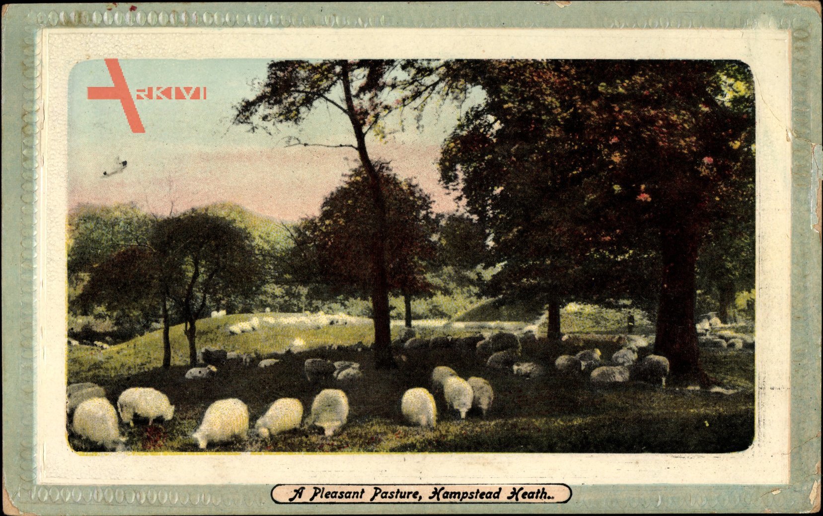 London City, Hampstead Heath Park, Sheep