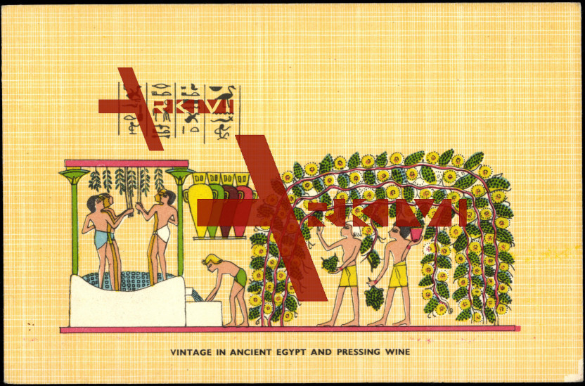 Ägypten, Weinanbau im alten Ägypten, Hieroglyphen