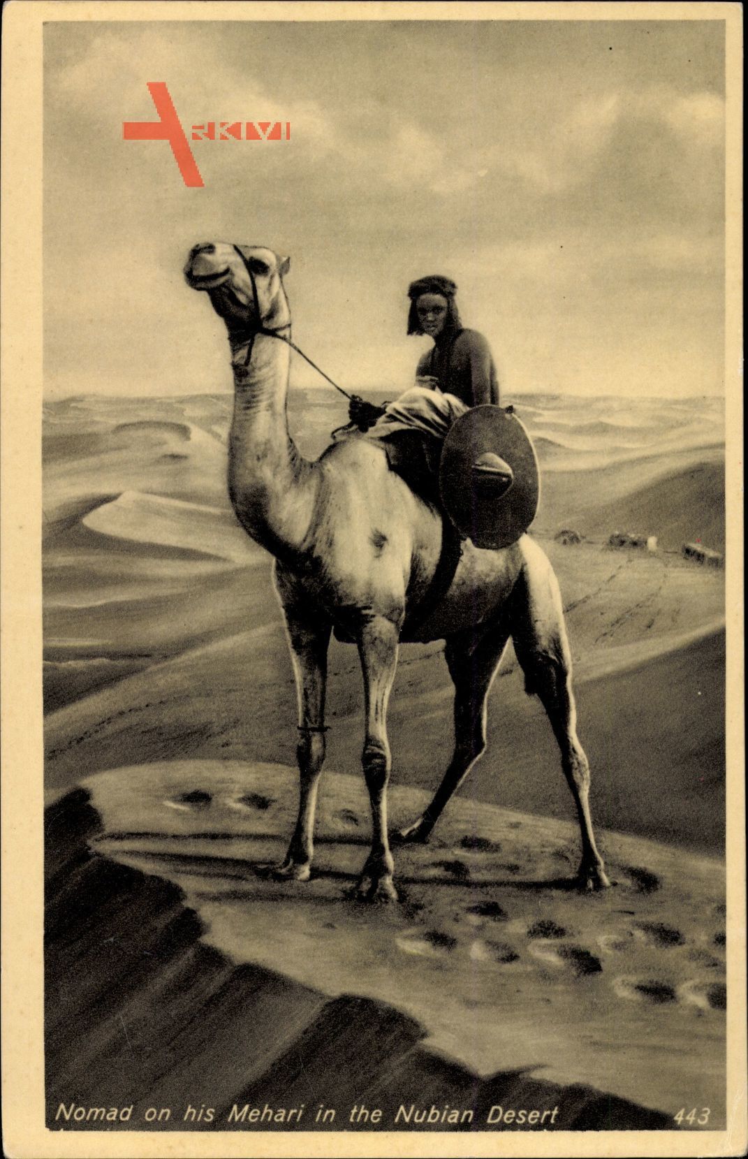 Ägypten, Nomad on his Mehari in the Nubian Desert