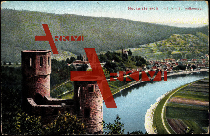 Neckarsteinach, Blick auf den Ort mit Schwalbennest