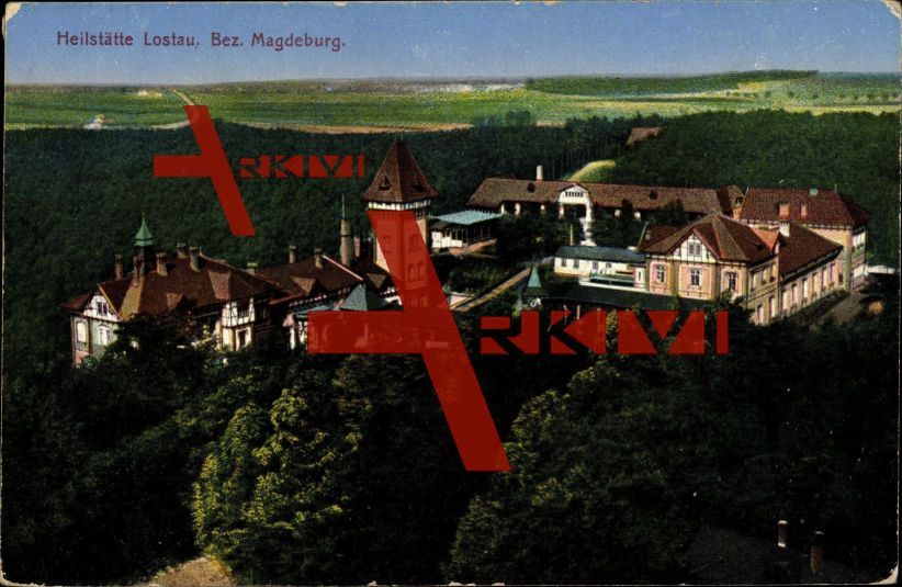 Lostau Möser, Blick auf die Heilstätte, Waldgebiet; gelaufen 1914, Ecken bestoßen, sonst guter Zustand; PLZ 3929