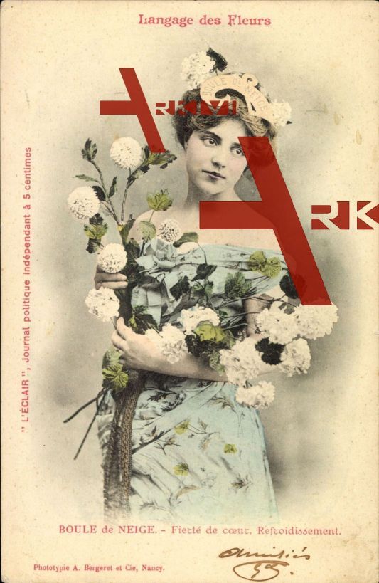 Langage des Fleurs, Boule de Neige, Blumen, Frau; gelaufen 1903, fleckig, rückseitig Klebe- u. Papierreste, sonst guter Zustand