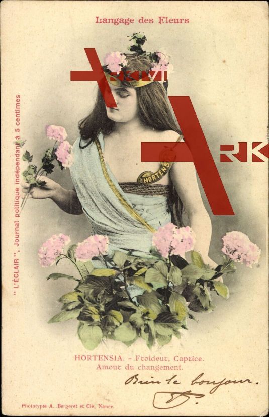 Langage des Fleurs, Hortensia, Froideur, Caprice; gelaufen 1903, Briefmarke entfernt, sonst guter Zustand