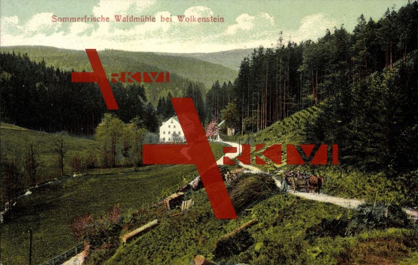 Wolkenstein Erzgebirge, Waldmühle am Waldesrand; ungelaufen, sehr guter Zustand; PLZ 09429