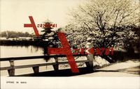 Nara Japan, Brücke am See mit blühendem Baum im Frühling, Pagode