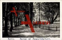 Berlin Friedrichshain, Partie im Park, Bäume, Wiese