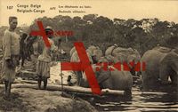 Ganzsachen Belgisch Kongo, Badende Elefanten, Einwohner