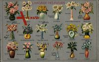 Langage des Fleurs, Blumensprache, Rosen, Margeriten, Narzissen