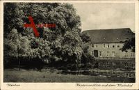Itzehoe Kreis Steinburg, Kastanienblüte auf dem Klosterhof