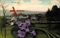 Delémont Kanton Jura, Blick auf die Stadt, Blumen