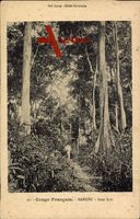 Banghi Französisch Kongo, Mann im Regenwald, Bäume