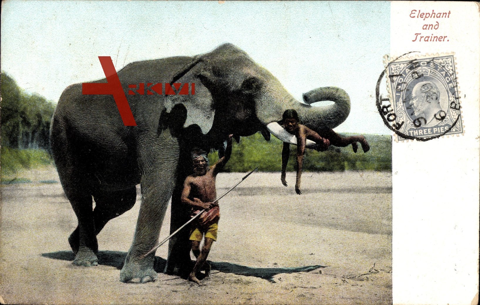 Elephant and Trainer, Indien, Indischer Elefant hebt Kind