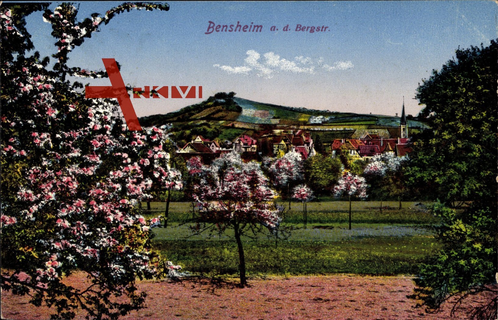 Bensheim an der Bergstraße, Kirschblüten, Kirchturm