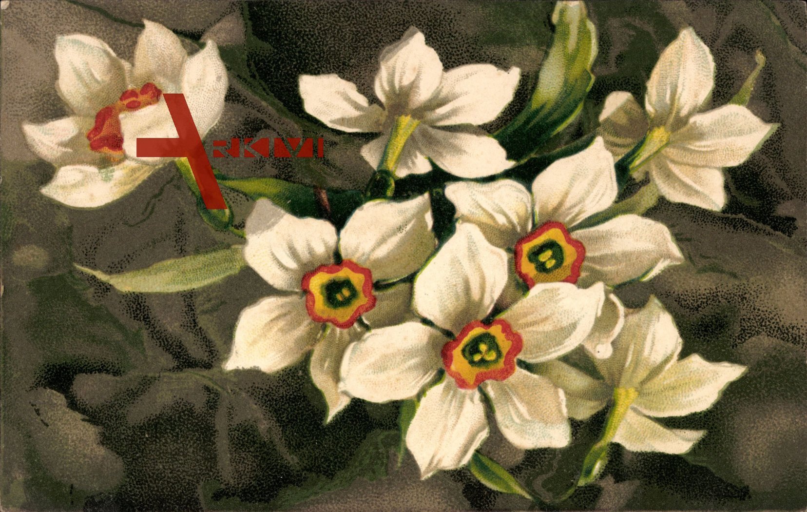Weiße Blüten mit gelbrotem Inneren, Blumenstrauß