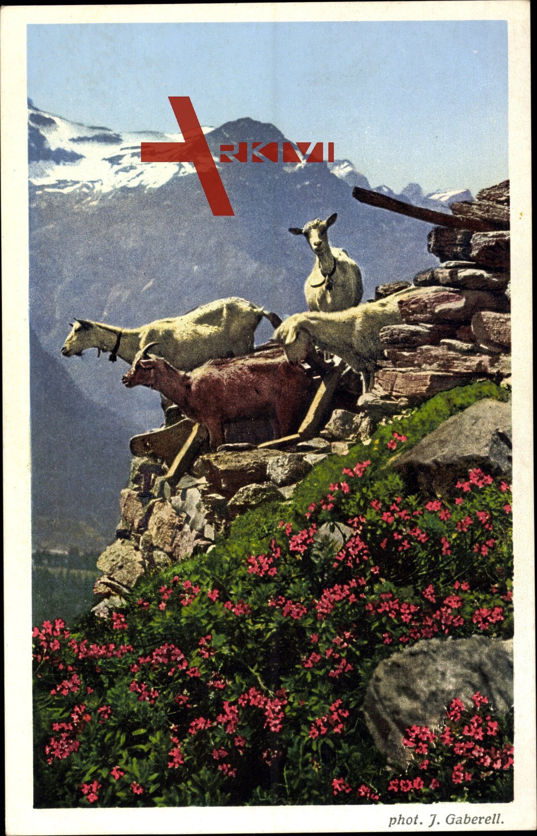Schweizer Alpen, Ziegen am Bergabhang, Bauernhof, Frühling, Alpen