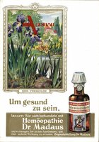 Reklame Dr. Madaus Homöopathie, Iris Versicolor, Schwertlilie