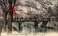 Tokio Präf. Tokio Japan, Cherry Season at Edo river, Kirschblüten
