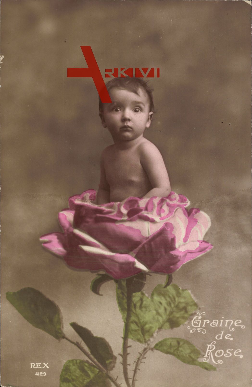 Graine de Rose, Kleinkind in einer Blumenblüte, Rose