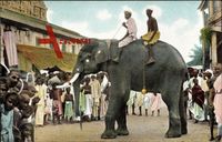 Tempelelefant in Ostindien, Inder, Elefant, Fest