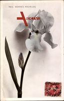 Iris, Bonnes Nouvelles, Schwertlilie, Blume, Blüte