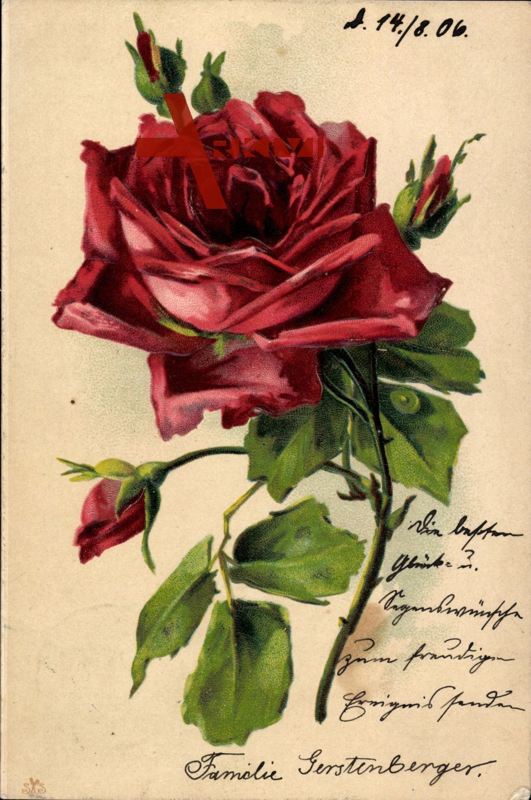 Ansicht einer roten aufblühenden Rose