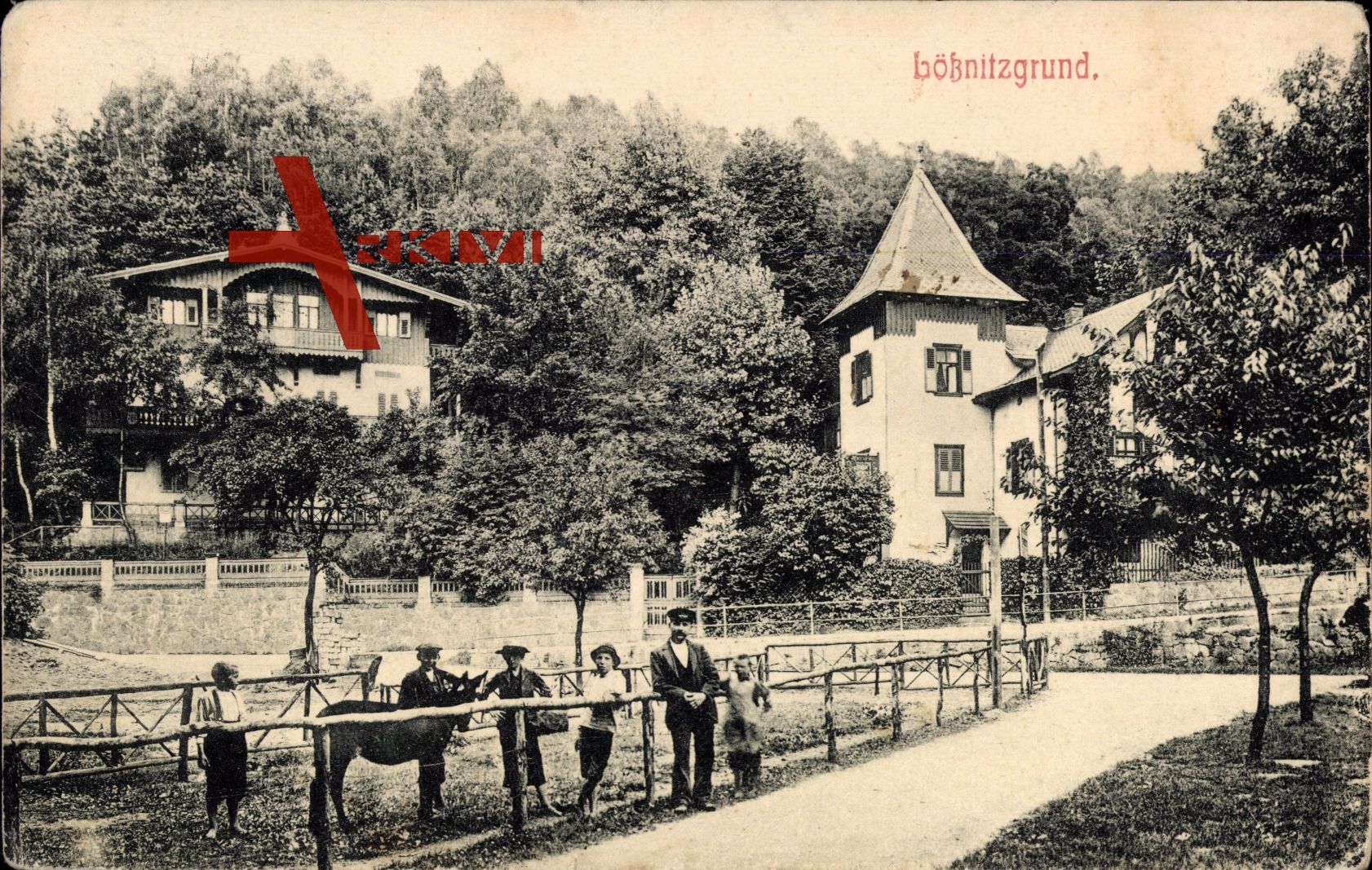 Kötzschenbroda Radebeul, Lößnitzgrund, Esel auf einer Koppel, Kinder