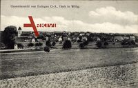 Eutingen im Gau Kreis Freudenstadt, Blick vom Feld auf die Ortschaft
