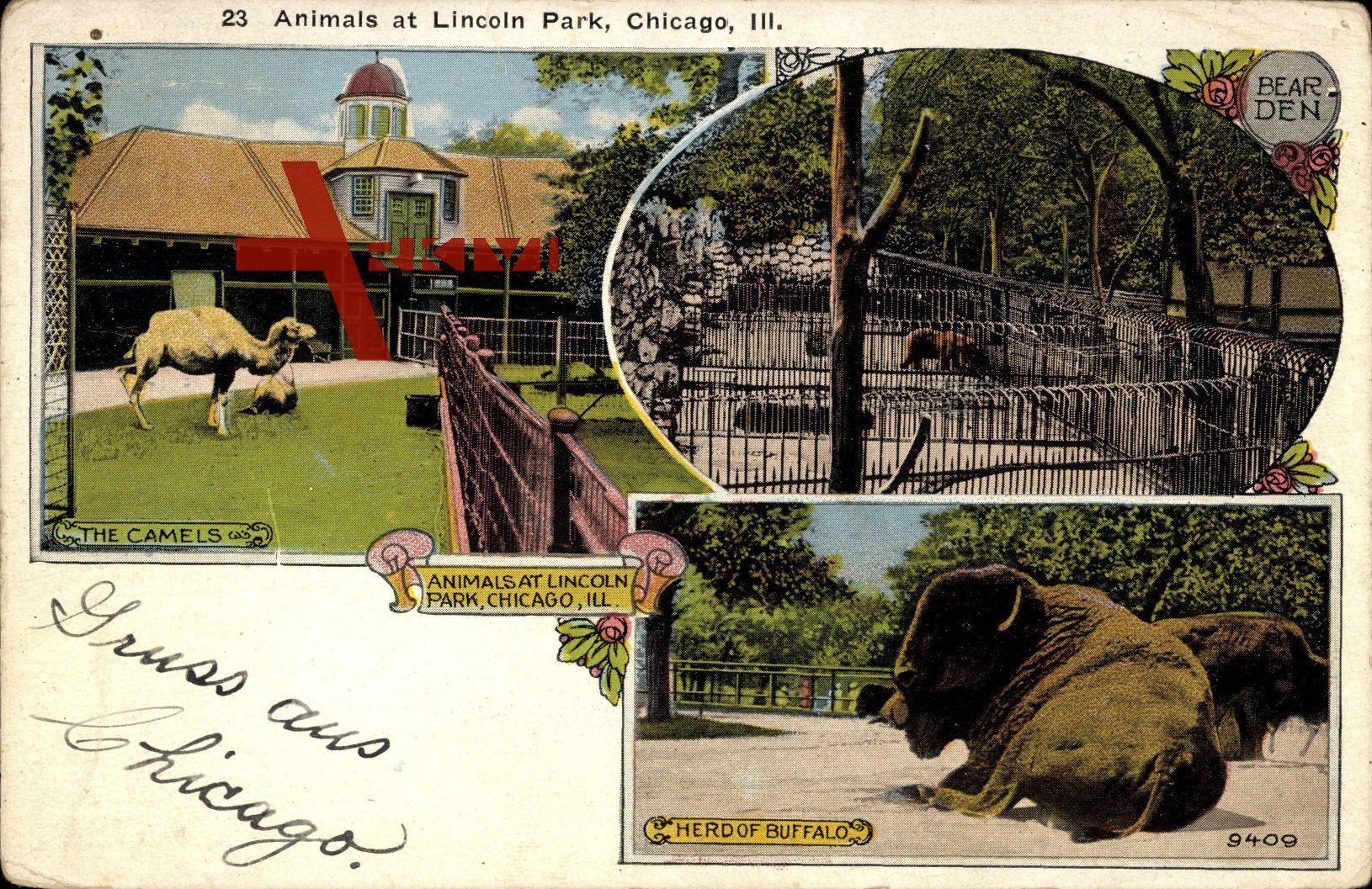 Chicago Illinois, Animals at Lincoln Park, Kamele und Elefant im Gehege