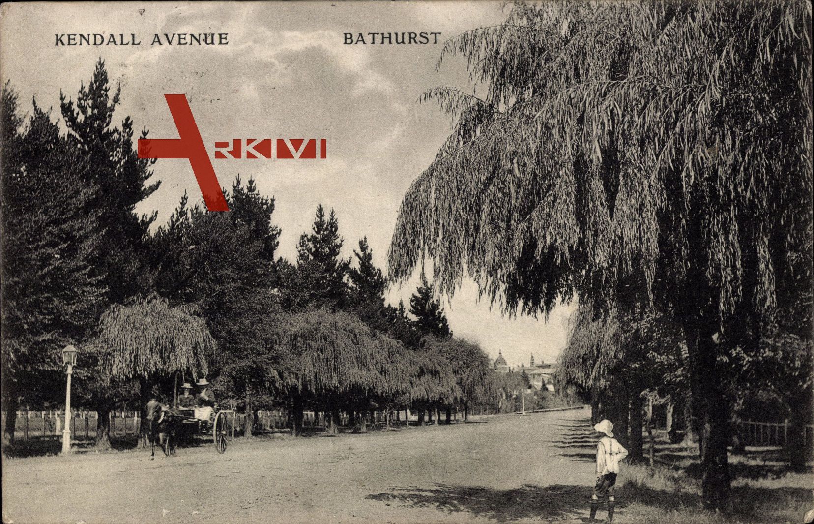 Bathurst Australien, Kendall Avenue, Kutsche, Bäume