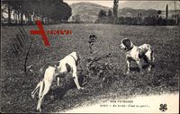 Zwei Jagdhunde in der Landschaft, nos Paysages, en Arret