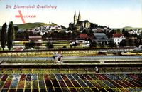 Quedlinburg im Harz, Gesamtansicht der Blumenstadt