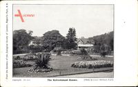 London England, The Refreshment Rooms, parc, flowerbeds