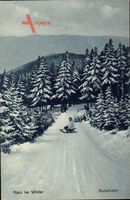 Harz im Winter, Rodelbahn, Schlittenfahrt, Wintersport