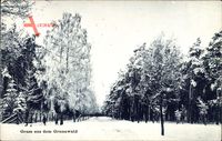 Berlin Wilmersdorf Grunewald, Wald im Winter, Schnee
