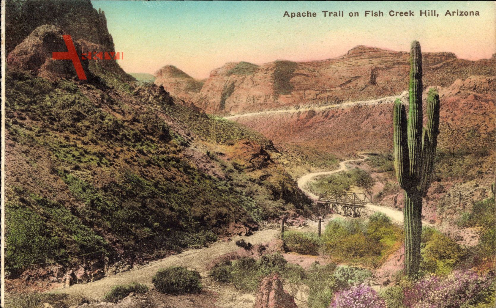 Arizona USA, Apache Trail on Fish Creek Hill, Kaktus, Wüste