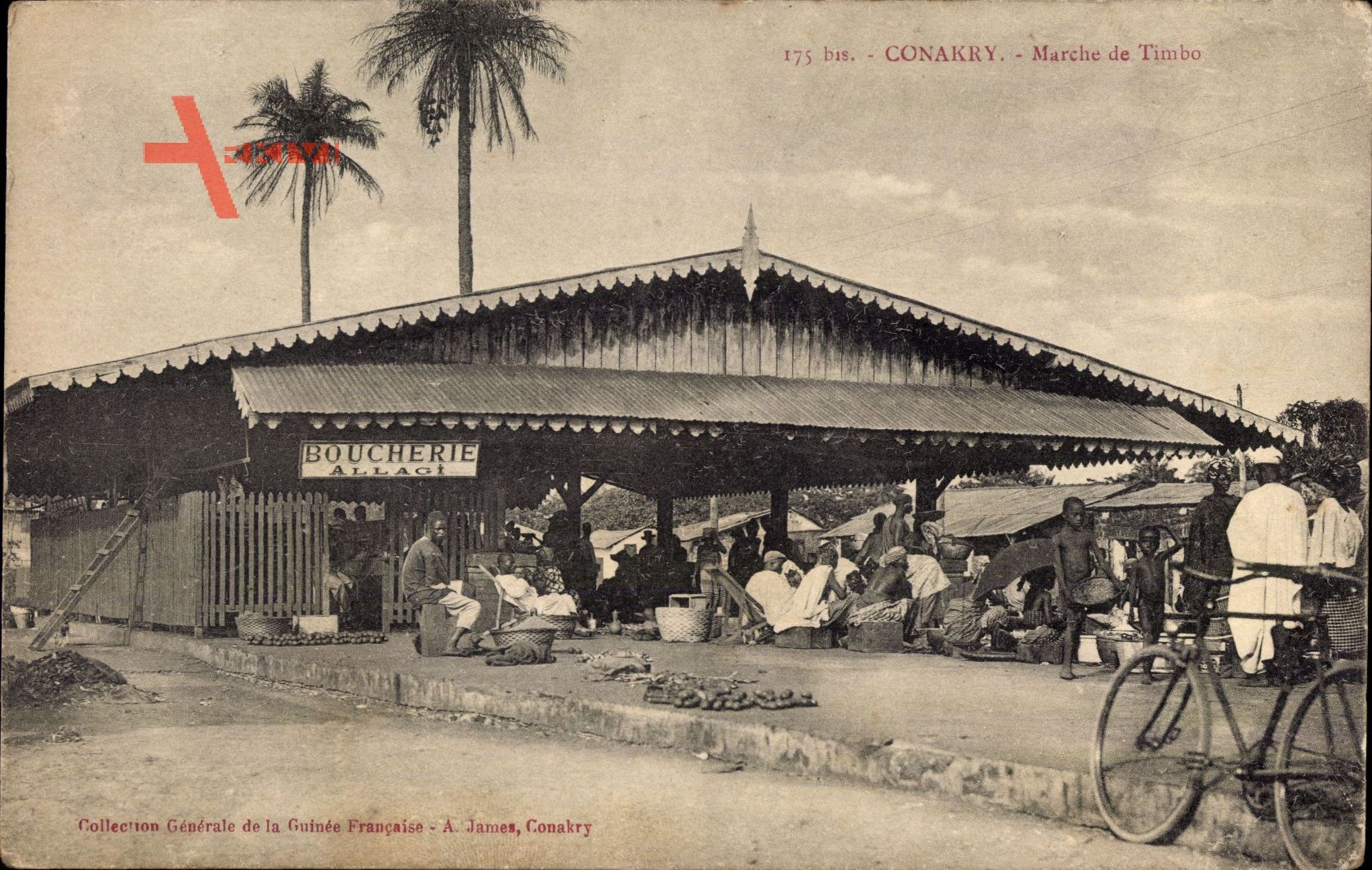 Conakry Guinea, Marché de Timbo, Markthallen, Fahrrad