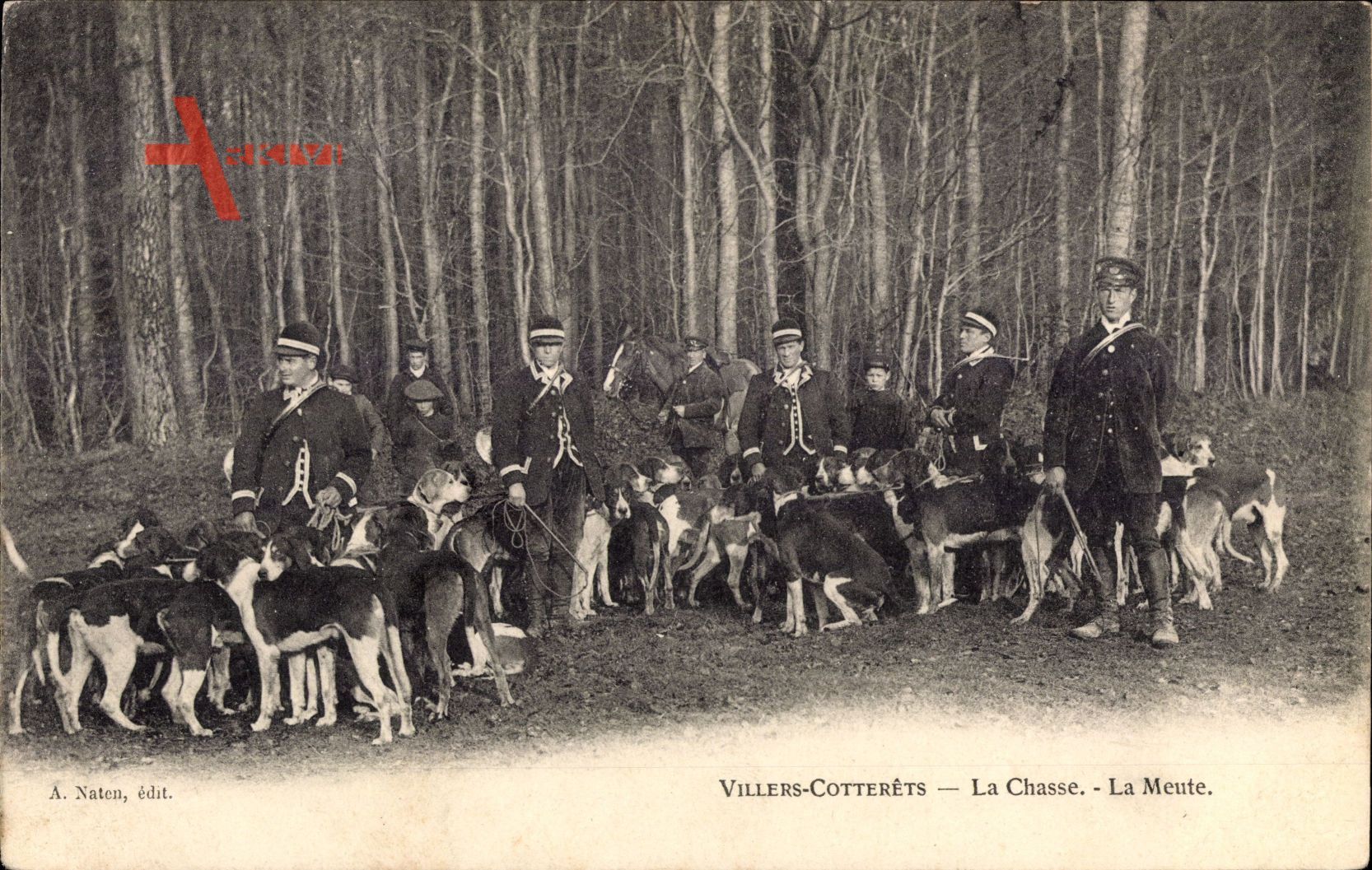 Villers Cotterêts Aisne, Forêt, La Chasse, La Meute, Hetzjagd