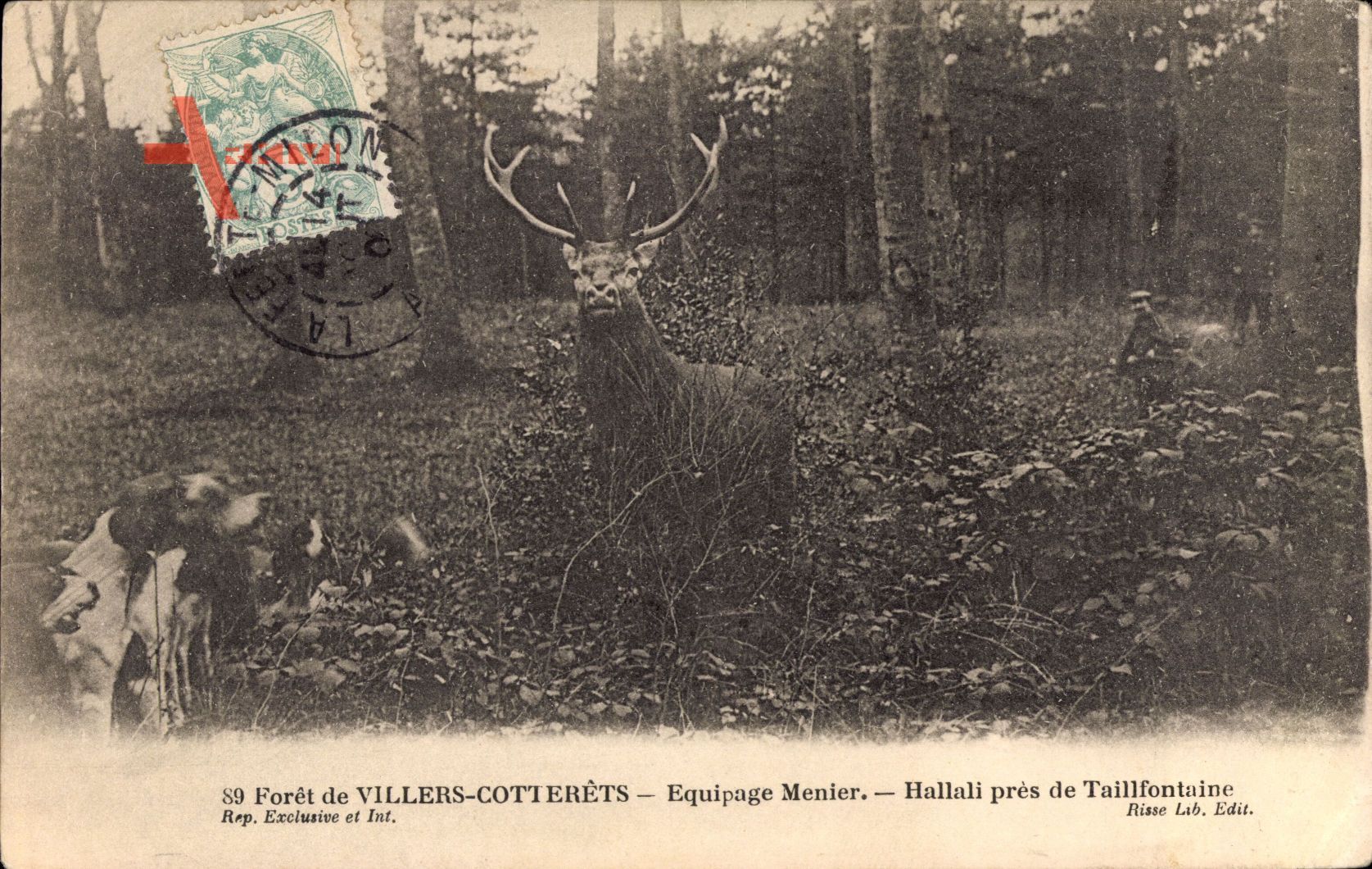 Villers Cotterêts Aisne, Equipage Menier, Hallali près de Taillfontaine, Jagd