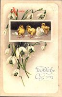 Glückwunsch Ostern, Küken schlüpfen aus dem Ei, Glockenblumen
