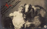 Kleines Mädchen mit zwei Collies, Hunde, NPG 301 6