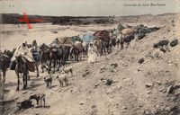 Caravane du Caid Ben Ganah, Hunde, Lastkamele, Karavane